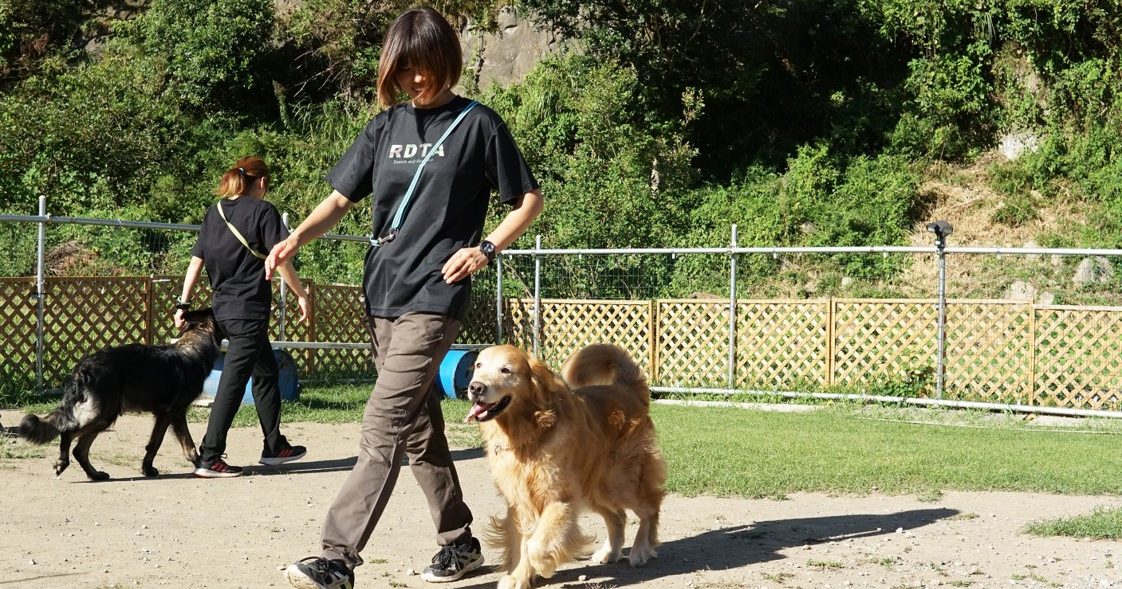 犬の可能性は無限大